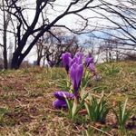 Annie Friedlander - @anniecfriedlander - Instagram