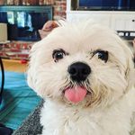 Anne Friedman - @annemargaret16 - Instagram