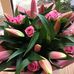 Anne Friend - Facebook