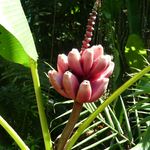 Anne Gallant - @anne_gallant_2226 - Instagram