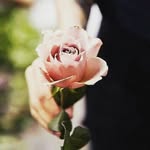 Anne Anne - @anne_ganne - Instagram