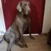 annegaultier - @annegaultier - TikTok