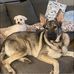 Anne Gendron - Facebook