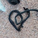Anne Gendron - @anne_gendron - Instagram