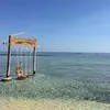 annegenestier116 - @annegenestier116 - TikTok