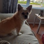 Anne Geraghty - @annegeraghty1953 - Instagram