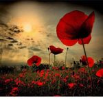 Anne Geraghty - @annegeraghty1967 - Instagram
