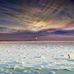 Anne Germain - Facebook