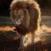 Anne Gervais - Facebook