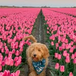 Anne Giesen - @annegiesennn - Instagram
