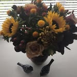Anne Gillard - @gillard730 - Instagram