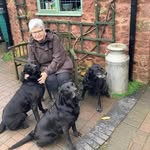 Anne Gillard - @annegillard53 - Instagram