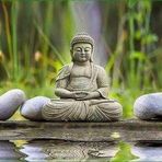 Anne Gillard - Facebook