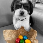Chrsitine Anne-Gillard - @chrsitineannegillard12 - Instagram