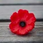 Anne Gillen - @gillen.anne - Instagram