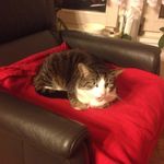 Anne Gläser - @glaser4165 - Instagram