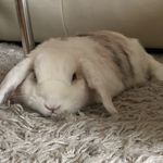 Anne Glaser - @muttertier111179 - Instagram
