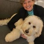 Anne Glaser McCabe - @wroxannie - Instagram