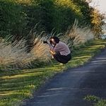 Anne Goddard - @agoddard4 - Instagram