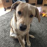 Anne Goddard - @anne.goddard.96 - Instagram