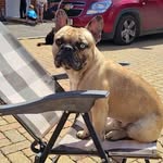 Lily Anne Grayson - @lilyannxx08 - Instagram