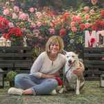 Anne Grogan Hough - @anniegrog - Instagram