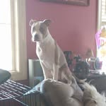 Ann Guyton - @annguyton - Instagram