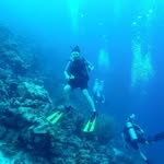 Anne Hagerty - @annehagerty - Instagram