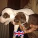 Anne Hammond - Facebook
