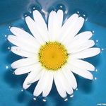 Anne Hammond - @annehammond284 - Instagram
