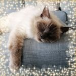 Anne Hammond - @anne.hammond.3998 - Instagram