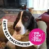 annehammondchapel - @annehammondchapel - TikTok