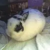 Anne Haney - @user621653152 - TikTok