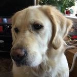 Anne Harley - @annne_harley_6 - Instagram