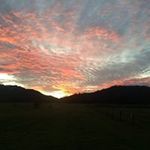 Anne Harley - @pudding1966 - Instagram