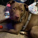 Sheryl Harrod - @sheryl.anne.harrod - Instagram