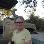 Ann Haskell - @ann.haskell - Instagram