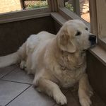 Anne - @_anneheadley - Instagram