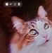 Rose Anne Perkins Headrick - Facebook