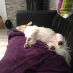 Anne Heard - @anneh3659 - Instagram