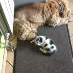 Anne Hebert - @anne.hebert58 - Instagram