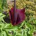 Anne Hennen - Facebook