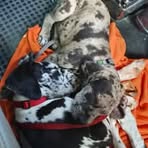 Annemarie Hering - Facebook