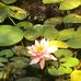 Anne Herman - Facebook