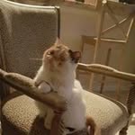 Ann Hilliard - @hilliard.ann - Instagram