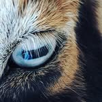 Jeryl Anne Hilliard-Neal - @hilliardneal - Instagram