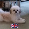 Anne Hodgson - @anne.hodgson - TikTok
