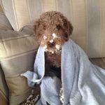 Anne Hodgson - @anne.hodgson.3532 - Instagram