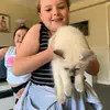 Anne Hood - @anne.hood0 - TikTok