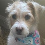 Anne Hood - @annehood707 - Instagram